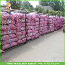 Ail rouge frais - Jining Rich Farmer International Trade Co., Ltd